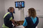 Tierarzt Vallendar, Tierärztliche Gemeinschaftspraxis Emmerich & Häberlein - GALLERY