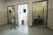 Tierarzt Vallendar, Tierärztliche Gemeinschaftspraxis Emmerich & Häberlein - GALLERY
