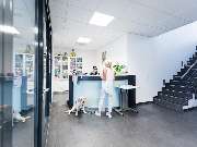 Tierarzt Villforth Heilbronn, Kleintierpraxis Dr. Yvonne Villforth - GALLERY