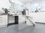 Tierarzt Villforth Heilbronn, Kleintierpraxis Dr. Yvonne Villforth - GALLERY