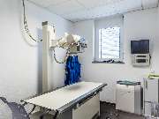 Tierarzt Villforth Heilbronn, Kleintierpraxis Dr. Yvonne Villforth - GALLERY