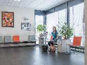 Tierarzt Villforth Heilbronn, Kleintierpraxis Dr. Yvonne Villforth - GALLERY