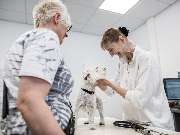 Tierarzt Villforth Heilbronn, Kleintierpraxis Dr. Yvonne Villforth - GALLERY