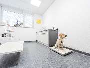 Tierarzt Villforth Heilbronn, Kleintierpraxis Dr. Yvonne Villforth - GALLERY