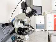 Tierarzt Vlotho, Tierarztpraxis am Roseneck - GALLERY