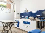 Tierarzt Vlotho, Tierarztpraxis am Roseneck - GALLERY