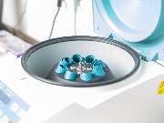 Tierarzt Vlotho, Tierarztpraxis am Roseneck - GALLERY