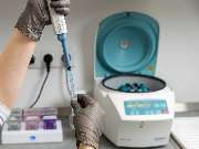 Tierarzt Vlotho, Tierarztpraxis am Roseneck - GALLERY