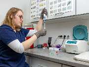 Tierarzt Vlotho, Tierarztpraxis am Roseneck - GALLERY