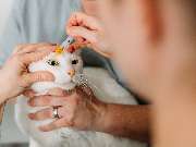 Tierarzt Vormum Berlin-Mahlsdorf, Tierarztpraxis am Wildrosengehölz - GALLERY