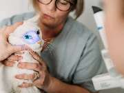 Tierarzt Vormum Berlin-Mahlsdorf, Tierarztpraxis am Wildrosengehölz - GALLERY