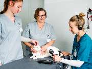 Tierarzt Vormum Berlin-Mahlsdorf, Tierarztpraxis am Wildrosengehölz - GALLERY