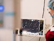 Tierarzt Vormum Berlin-Mahlsdorf, Tierarztpraxis am Wildrosengehölz - GALLERY