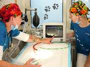 Tierarzt Warthausen, Kleintierpraxis Dres. Guth und von Römer - GALLERY