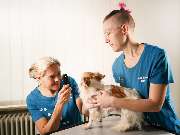 Tierarzt Warthausen, Kleintierpraxis Dres. Guth und von Römer - GALLERY