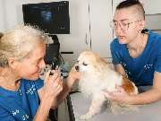 Tierarzt Warthausen, Kleintierpraxis Dres. Guth und von Römer - GALLERY