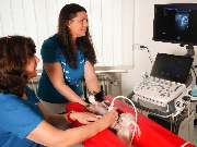 Tierarzt Warthausen, Kleintierpraxis Dres. Guth und von Römer - GALLERY