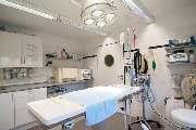 Tierarzt Wilmering Neuss, Kleintierpraxis Kaarster Straße - GALLERY