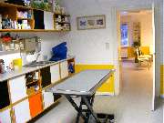 Tierarztpraxis am Mexikoplatz Dr. Dorothea Werning - GALLERY