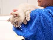 Tierarztpraxis am Schellenberg - GALLERY