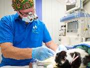 Tierarztpraxis am Schellenberg - GALLERY