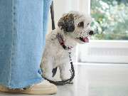 Tierarztpraxis am Schellenberg - GALLERY