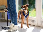 Tierarztpraxis am Schellenberg - GALLERY