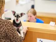 Tierarztpraxis am Schellenberg - GALLERY