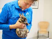 Tierarztpraxis am Schellenberg - GALLERY