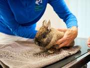 Tierarztpraxis am Schellenberg - GALLERY