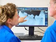 Tierarztpraxis am Schellenberg - GALLERY