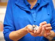 Tierarztpraxis am Schellenberg - GALLERY