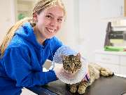 Tierarztpraxis am Schellenberg - GALLERY