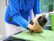 Tierarztpraxis am Schellenberg - GALLERY