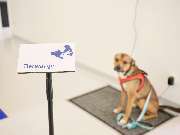 Tierarztpraxis am Schellenberg - GALLERY