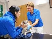 Tierarztpraxis am Schellenberg - GALLERY