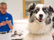 Tierarztpraxis am Schellenberg - GALLERY