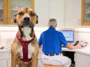 Tierarztpraxis am Schellenberg - GALLERY