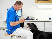 Tierarztpraxis am Schellenberg - GALLERY