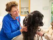 Tierarztpraxis am Schellenberg - GALLERY