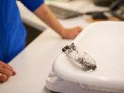 Tierarztpraxis am Schellenberg - GALLERY