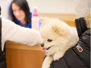 Tierarztpraxis am Schellenberg - GALLERY