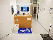 Tierarztpraxis am Schellenberg - GALLERY