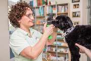 Tierarztpraxis an den Poller Wiesen Dr. med. vet. Maja Rühling | Köln - Tierarztpraxis Rühling