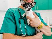 Tierarztpraxis Bärenwiese, Tierarzt Berlin-Wilmersdorf - GALLERY