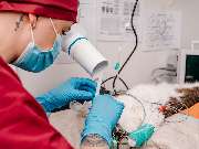 Tierarztpraxis Bärenwiese, Tierarzt Berlin-Wilmersdorf - GALLERY