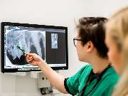 Tierarztpraxis Bärenwiese, Tierarzt Berlin-Wilmersdorf - GALLERY