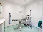 Tierarztpraxis Bärenwiese, Tierarzt Berlin-Wilmersdorf - GALLERY