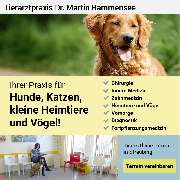 Tierarztpraxis Dr. med. vet. Martin Rammensee - GALLERY