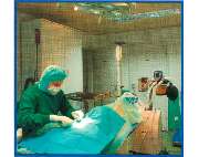 Tierarztpraxis Dr. Michael Wolf - GALLERY